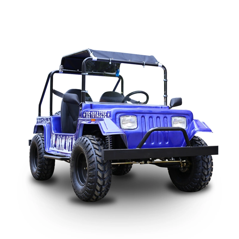 Mini Jeep Suyang para crianças com bancos duplos Mini Electric Buggy 1500W