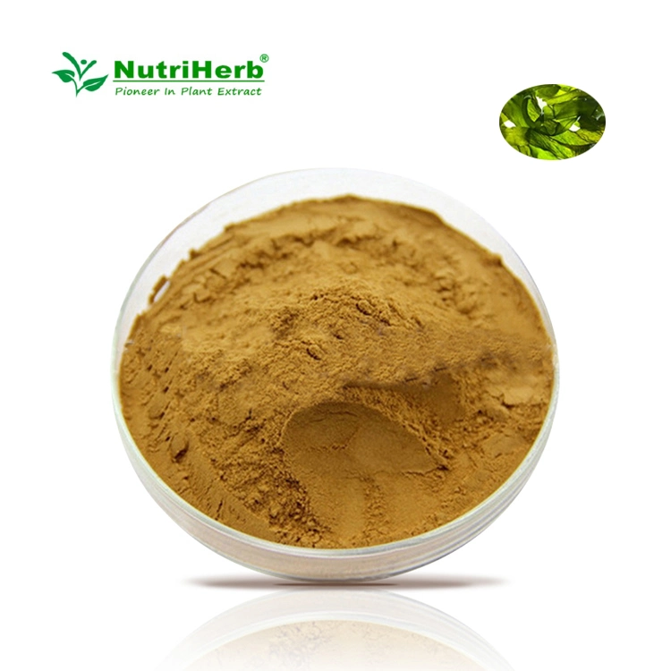 Wholesale Best Price Seaweed Kelp Extract, Organic Kelp Seaweed Extract Powder