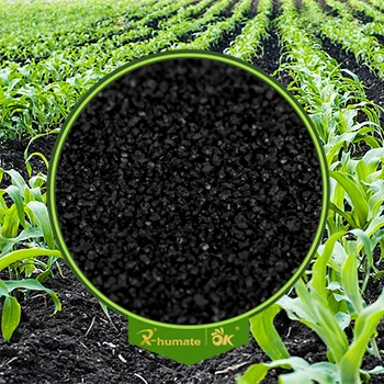 Fertilizante orgánico de cristal brillante negro 85%Min Soluble en agua con el potasio Humate del Leonardite