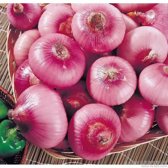 Red Onion Ginger Garlic Fruit Fresh Vegetables Onion with ISO HACCP Certification Mesh Bag 5kg 10kg Wholesale/Supplier