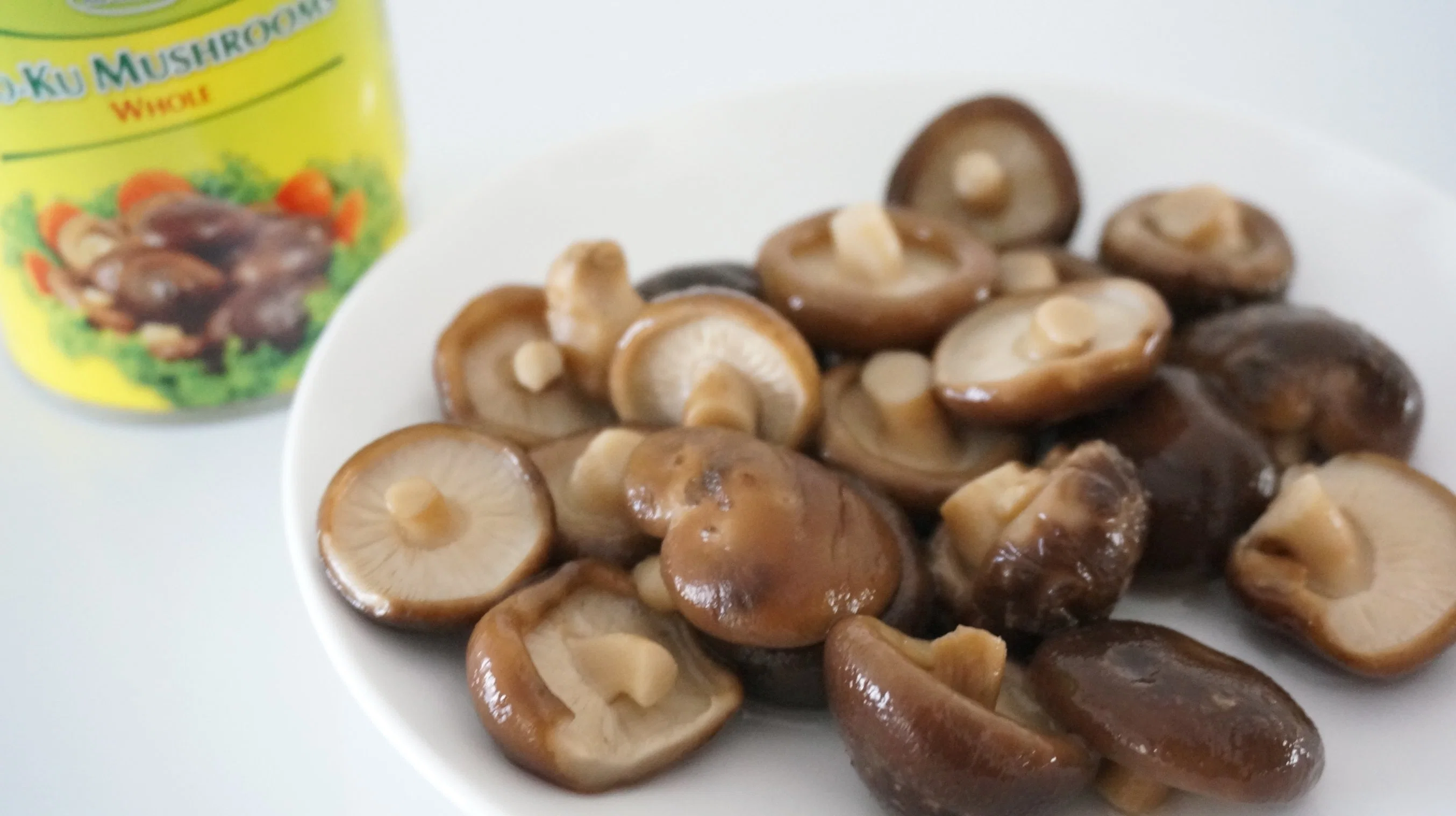 Chinese Traditional Healthcare Shiitake Mushroom with Own Brand