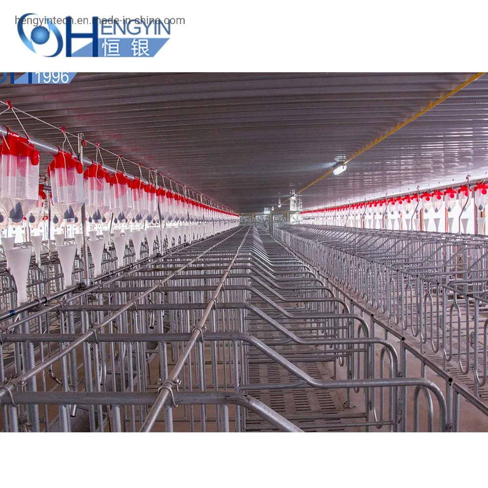 Pig Gestation Crate Livestock Pig Farming Equipment