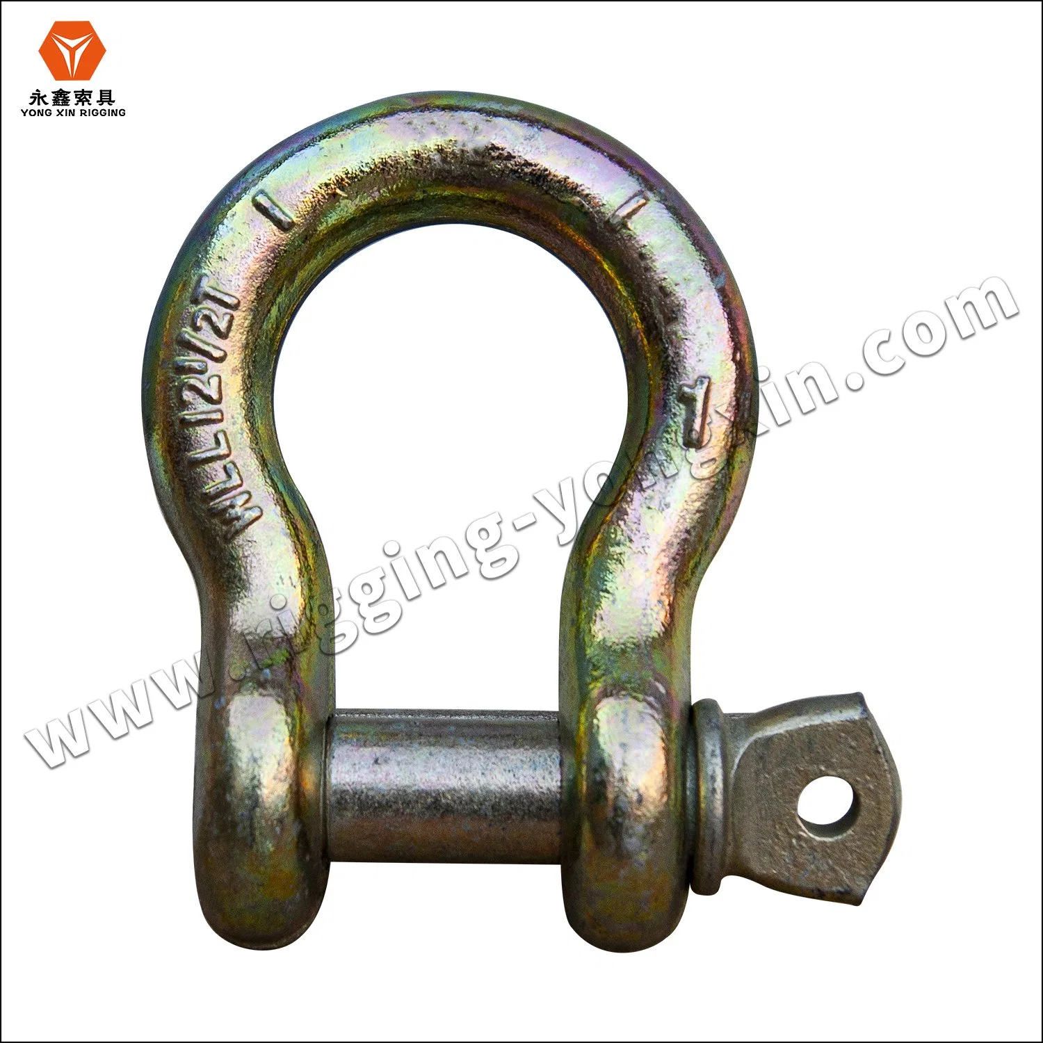 European Type High quality/High cost performance  Polished Screw Pin Forged Stainless Steel 304/316 Marine Anchor Lifting Chain D Shackles