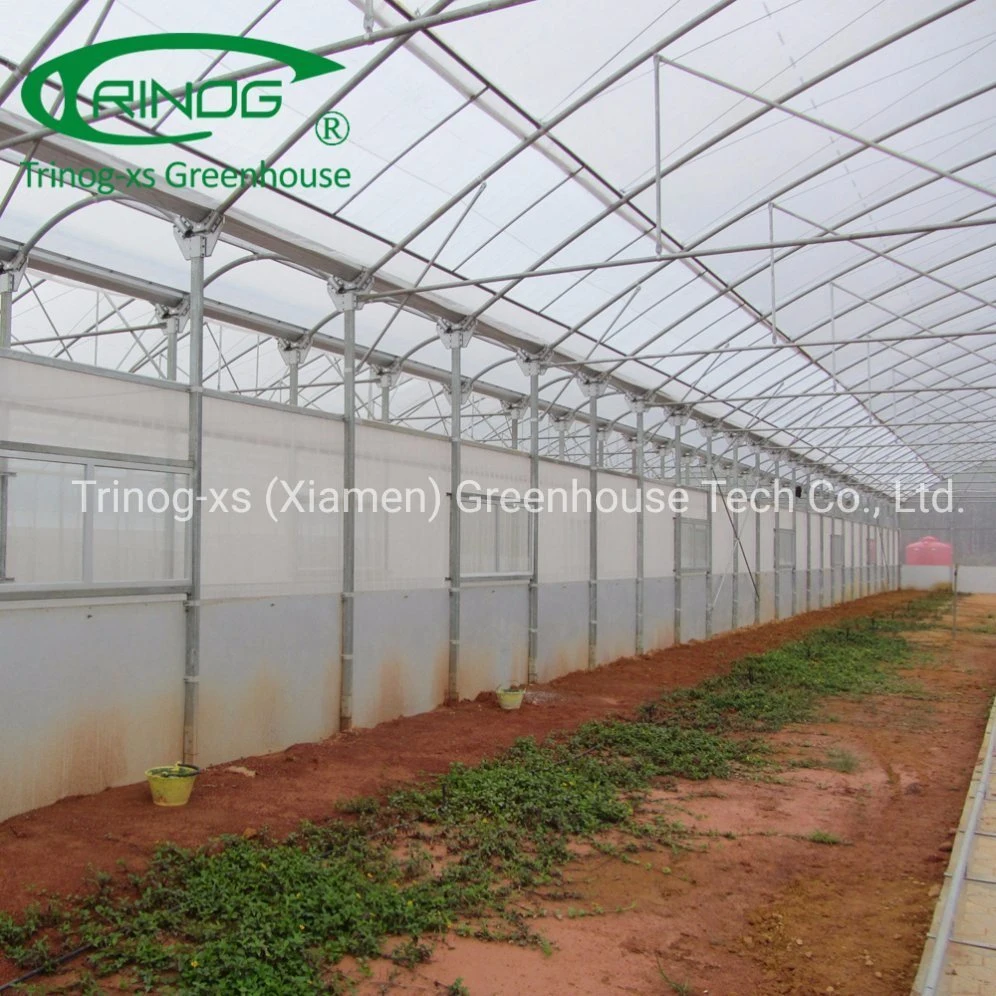 Trinog agricultural roof vent hook hanging tomato hydroponics growing green house for farm