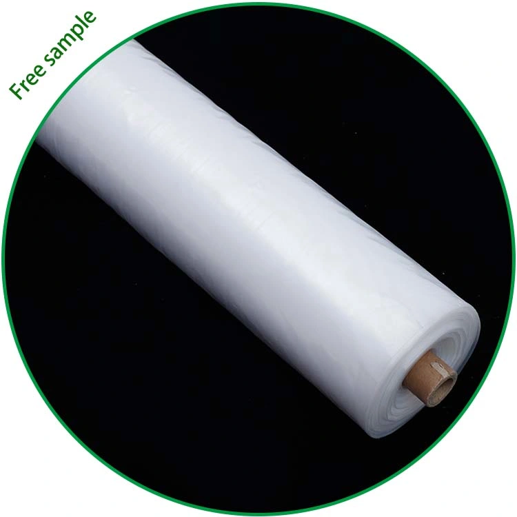 Commercial 150 200microns Free Sample Agriculture Protective LDPE UV Resistant Greenhouse Plastic Film