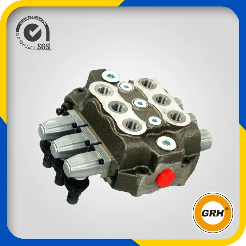 OEM Standard Grh Hydraulic Directional of Proportional Solenoid Flow Control Proportioning Valve Nut with CE