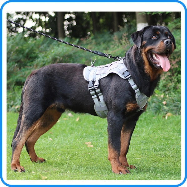 Pet Product Supply Große Haustier Hund Harness Großhandel