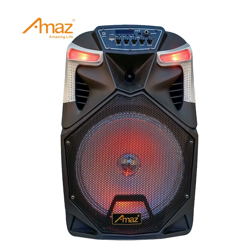 Amaz Top Selling 12 Inch Party Outdoor Wireless Trolley Speaker