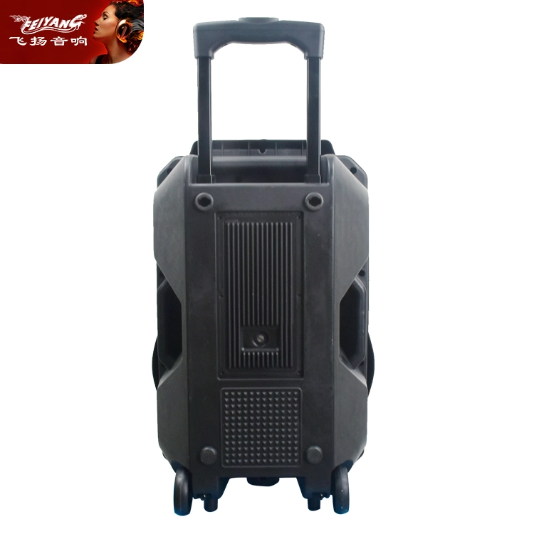 Cheap Feiyang molde privado DJ Bluetooth Altavoz Altavoz exterior PA carro