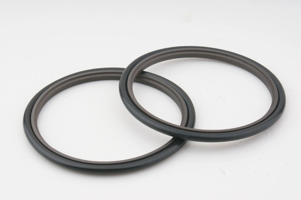 Plastic Inner and Outer Carton High Pressure Hydraulic Seals Rod Seal