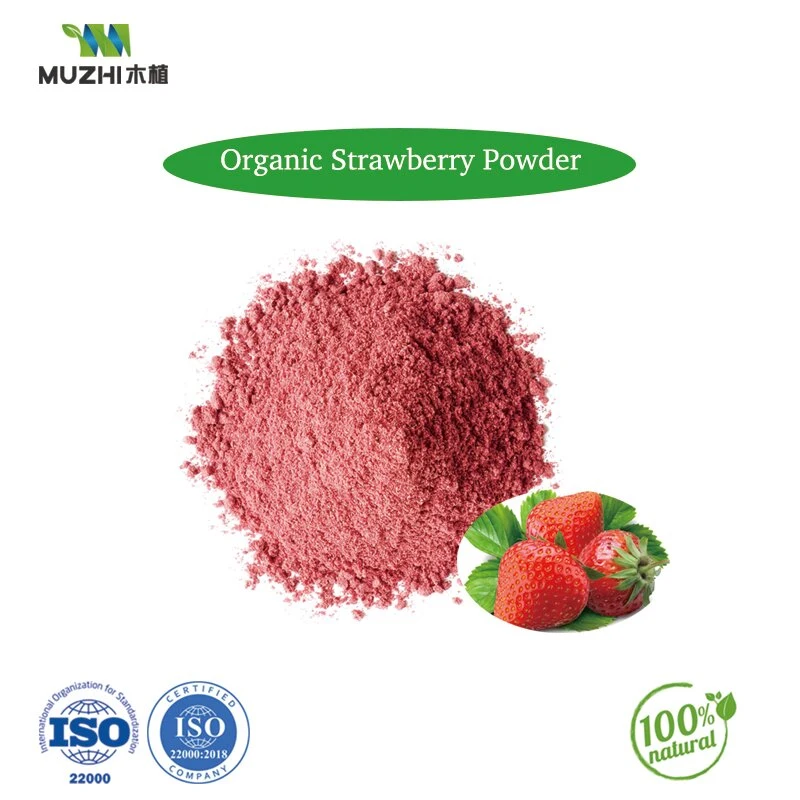 Wholesale Dried Fruit Vegetable Products Organic Freeze Dried Strawberry