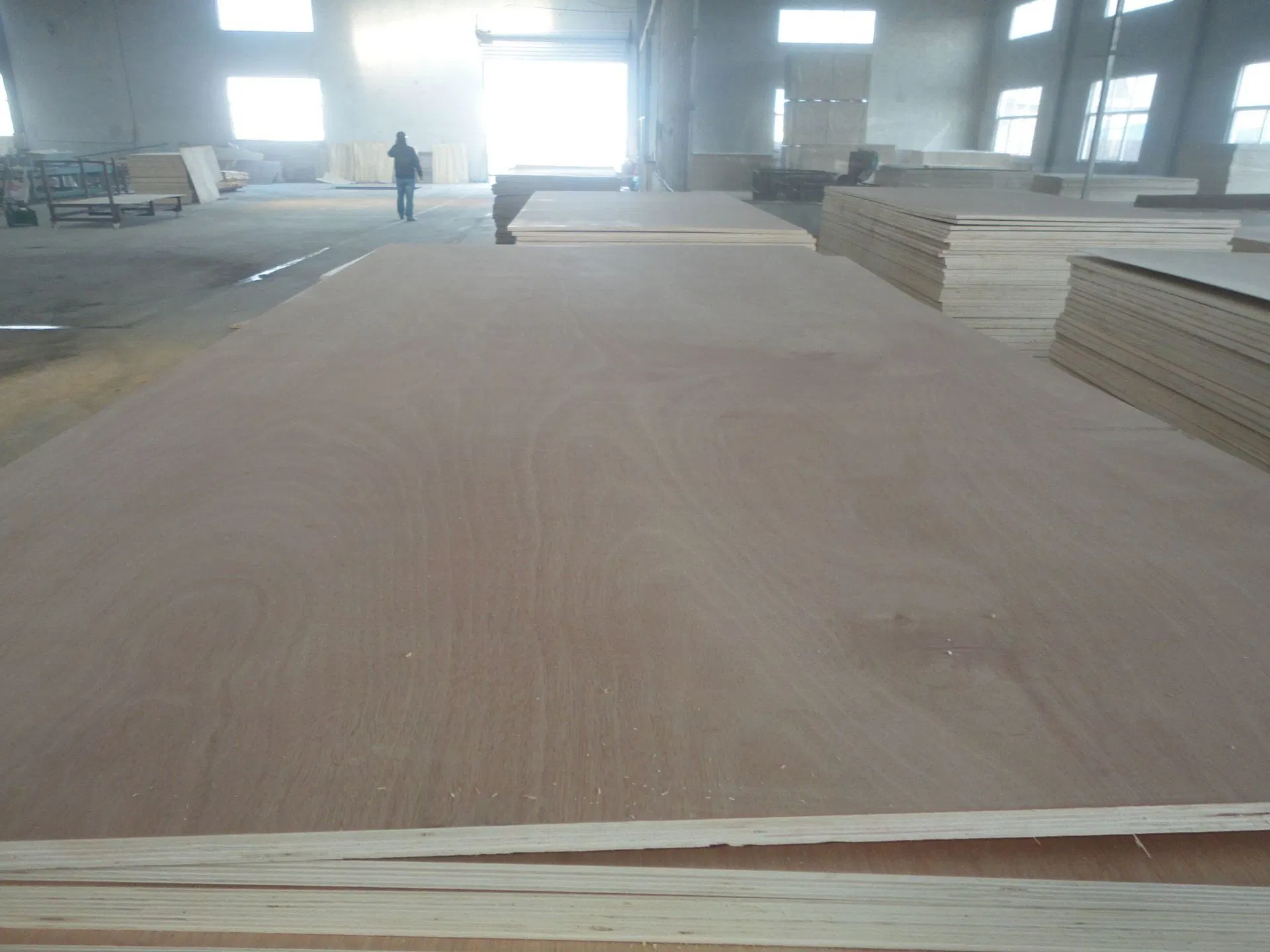 Multi-Layer Wood Veneer Technology Wood Board Sapele Board Bleached Poplar Board Birch Board Three-Ply Plywood Three-Ply Board