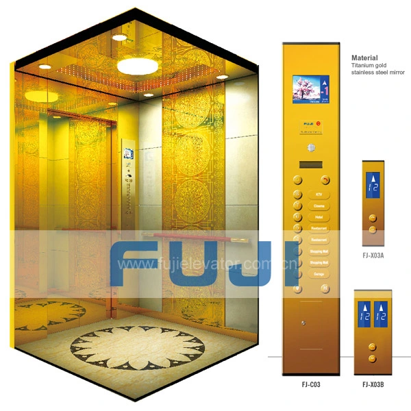 FUJI Gold Mirror Etching Cost Price House Passenger Lift Made in China