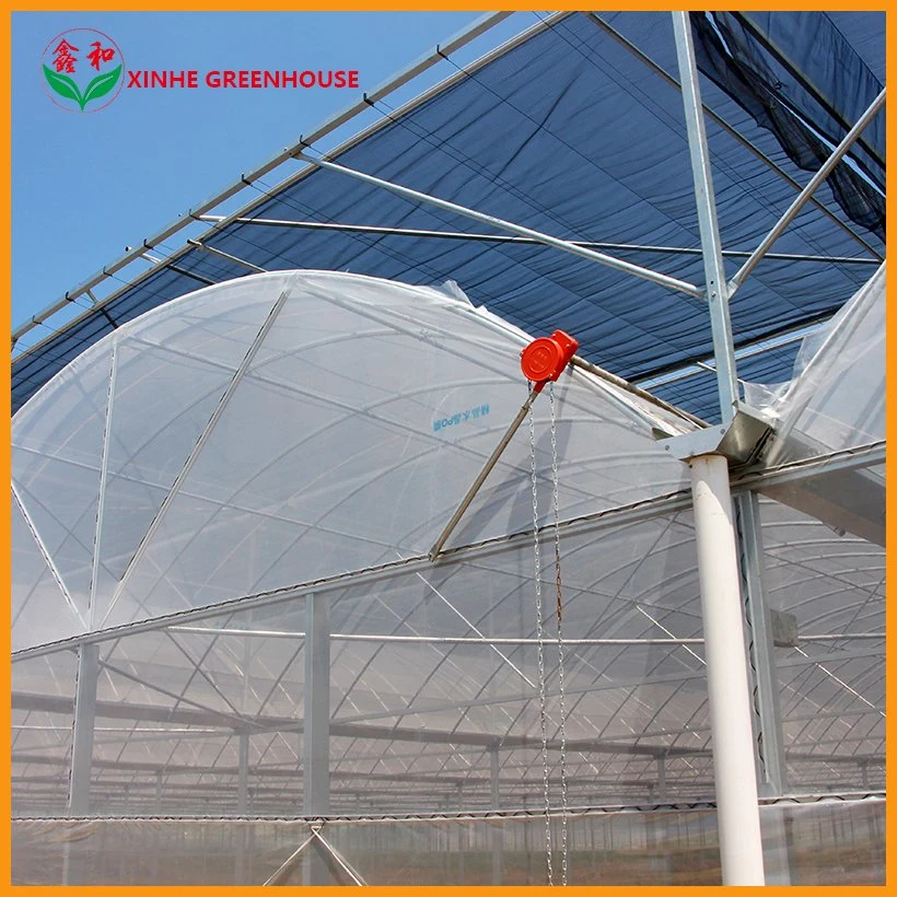 Hydroponics System Commercial Multi-Span Plastic Po Film Greenhouse for Strawberry