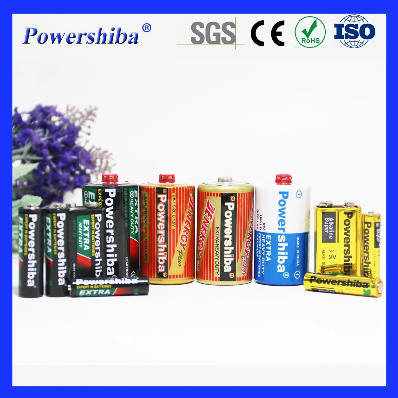 New 1.5V Lr6 AA Alkaline Dry Battery for Children Toys