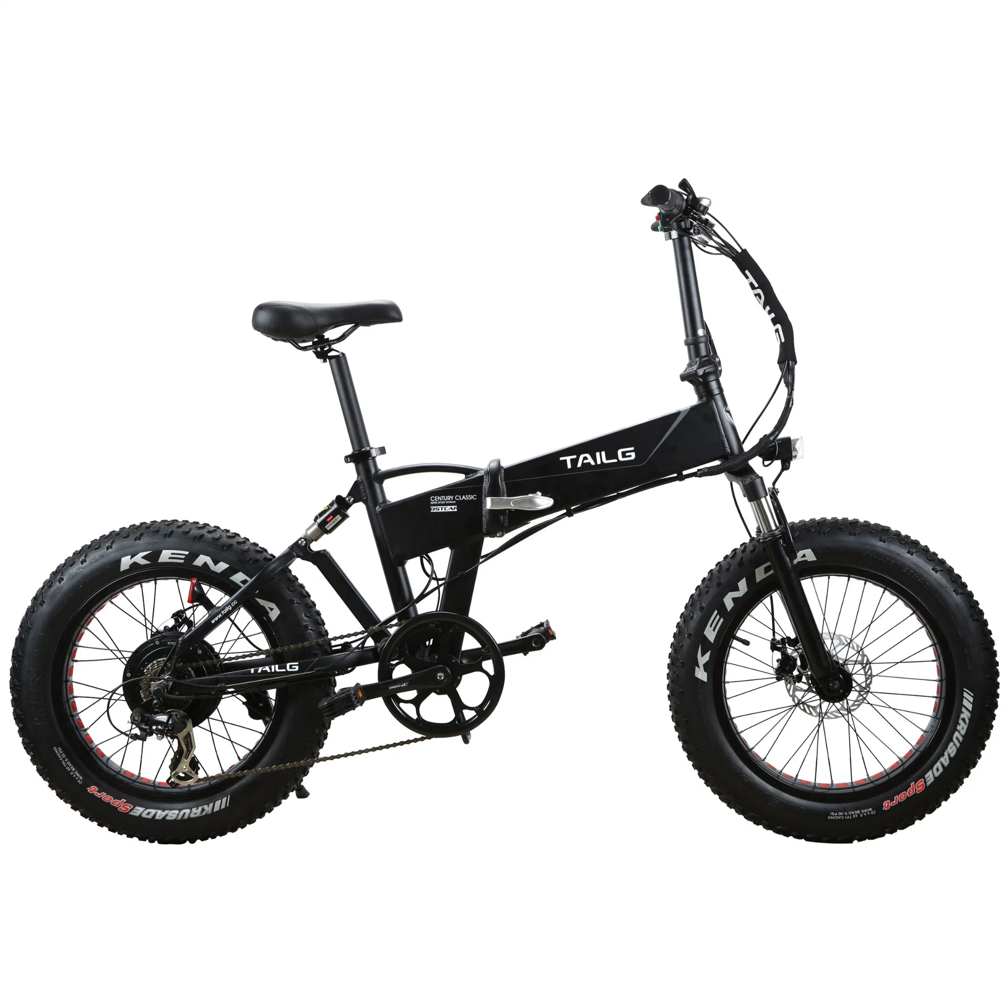 20" Folding Fat Tyre Electric Bicycle with Lithium Battery