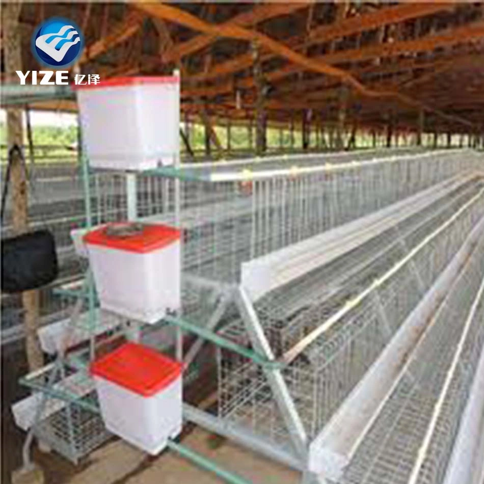 Cage de poulet portable poulet Coop poulet matériel agricole à vendre