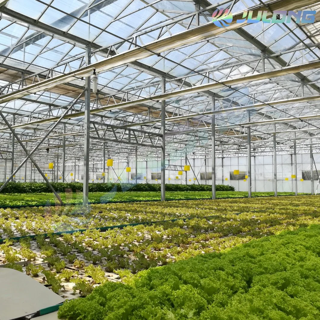 Agricultural Equipment Vegetable Hydroponics Growing System Climate Control System Flower Glass Greenhouse Price