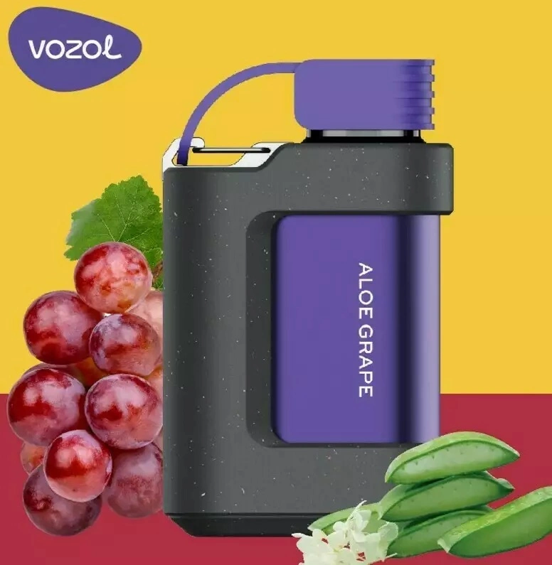 Vozol Gear 10000/7000/6000 Wholesale/Supplier Vape with Excellent Flavors Vape Smoking Vape Pod