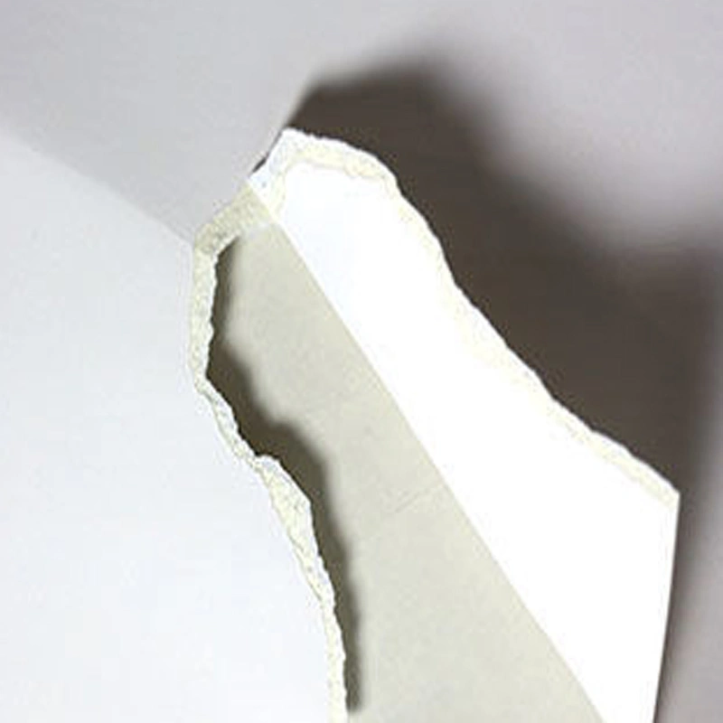 Papel para escrita Bristol cartão papel não revestido placa branqueada sólida FBB