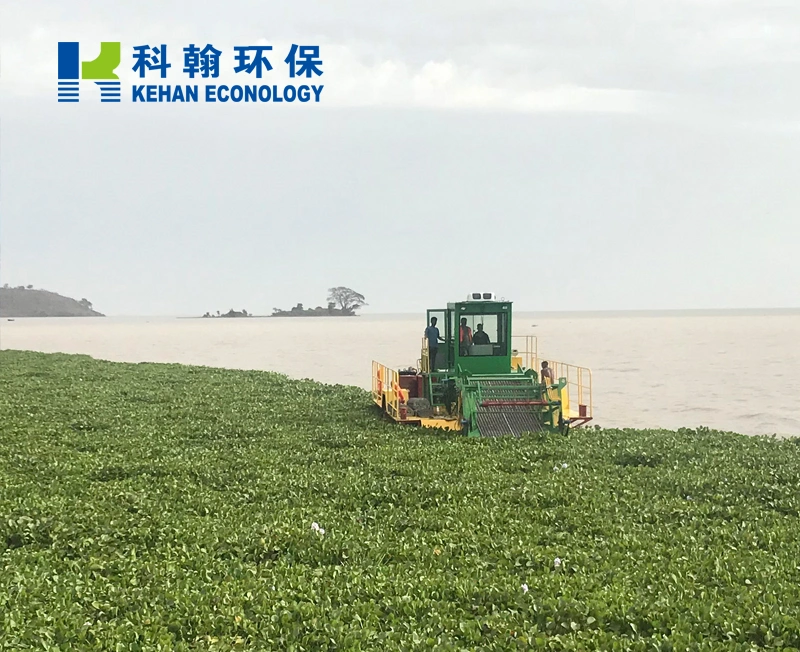 Full Automatic Water Hyacinth Collecting Ship for Sale