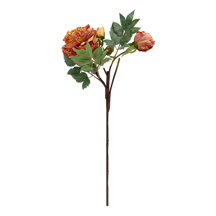 Amazon huile peinture pivoine Burnt Edge pivoine maison Décoration Faux Fleur artificielle