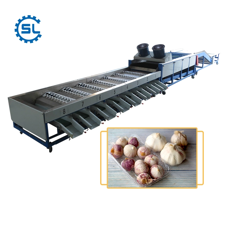 3-8t/H 3-9 Grades Garlic Shiitake Sorting Grading Machine