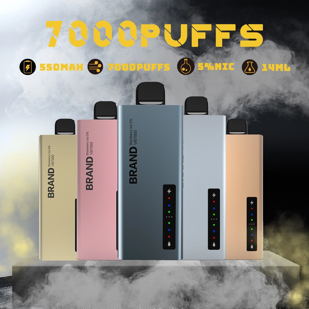 Naher Osten Großhandel Einweg-Vape Pen 550mAh 15ml 7000 Puffs Typ C Wiederaufladbare Rauchdampfer Elektronische Zigarette Vape Zerstäuber Pod Mit CE aufbläst