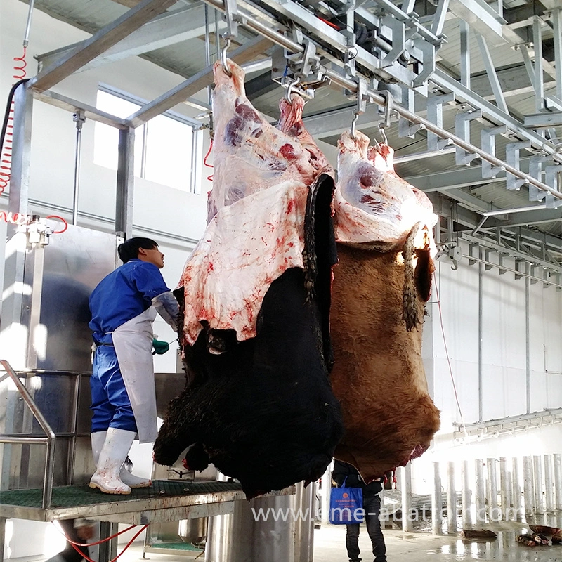 Halal bovins abattoir machine bovins bovins ligne de transformation de viande de boeuf vache Équipement d'abattoir