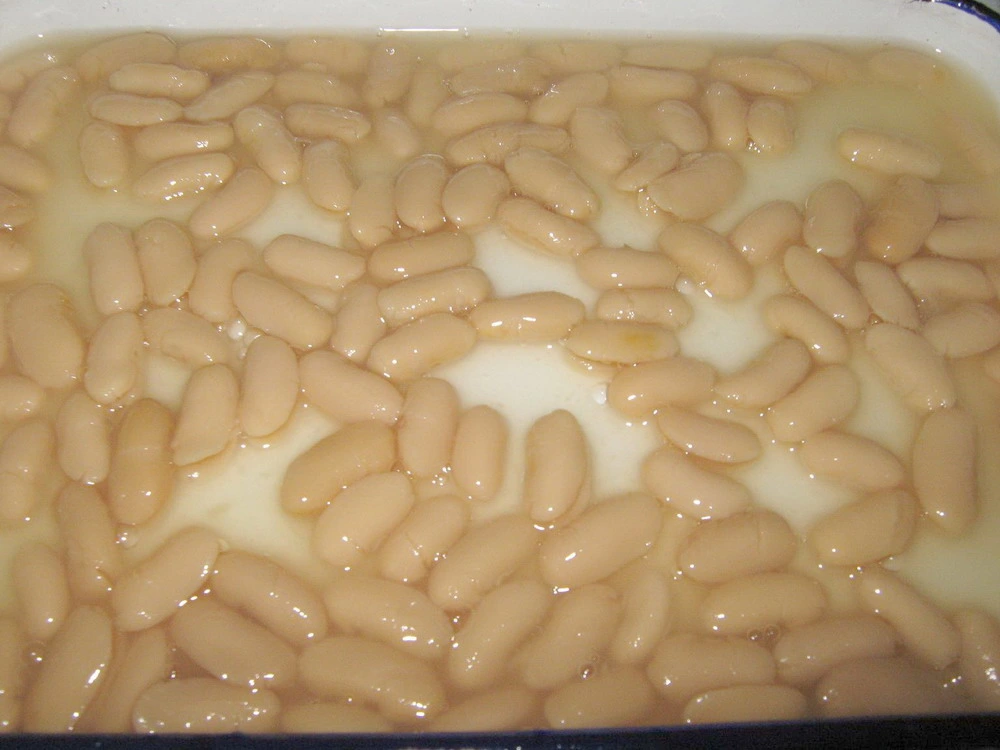 400g Canned White Kidney Beans in Brine