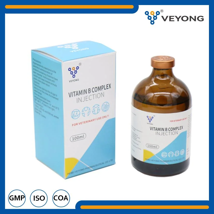 Veterinary Drug Complex Vitamin B Injection for Cattle Sheep Vitamin B12 Injection 100ml/Vial Wholesale From China Factories