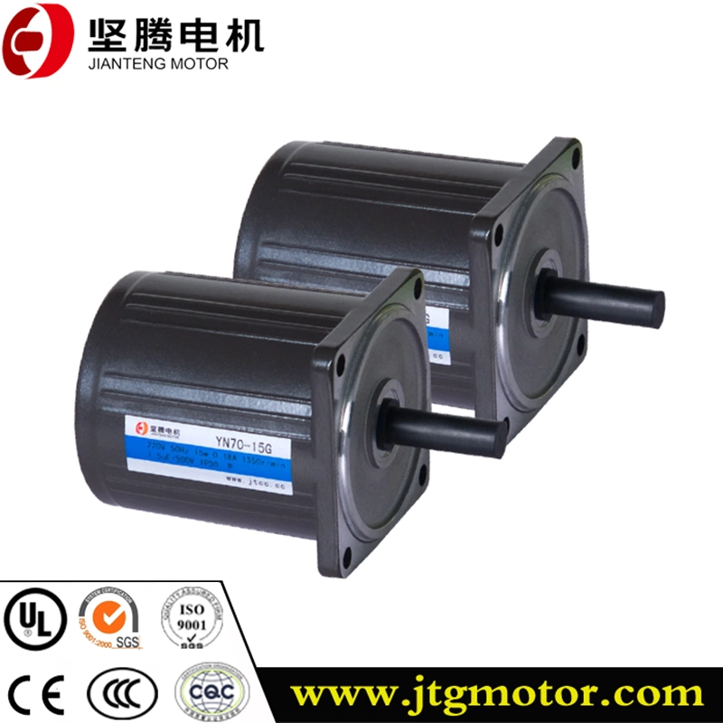 Professional and Efficient 10W-200W AC Gear Motor Electrical Motor Induction Motor for Power Transmission