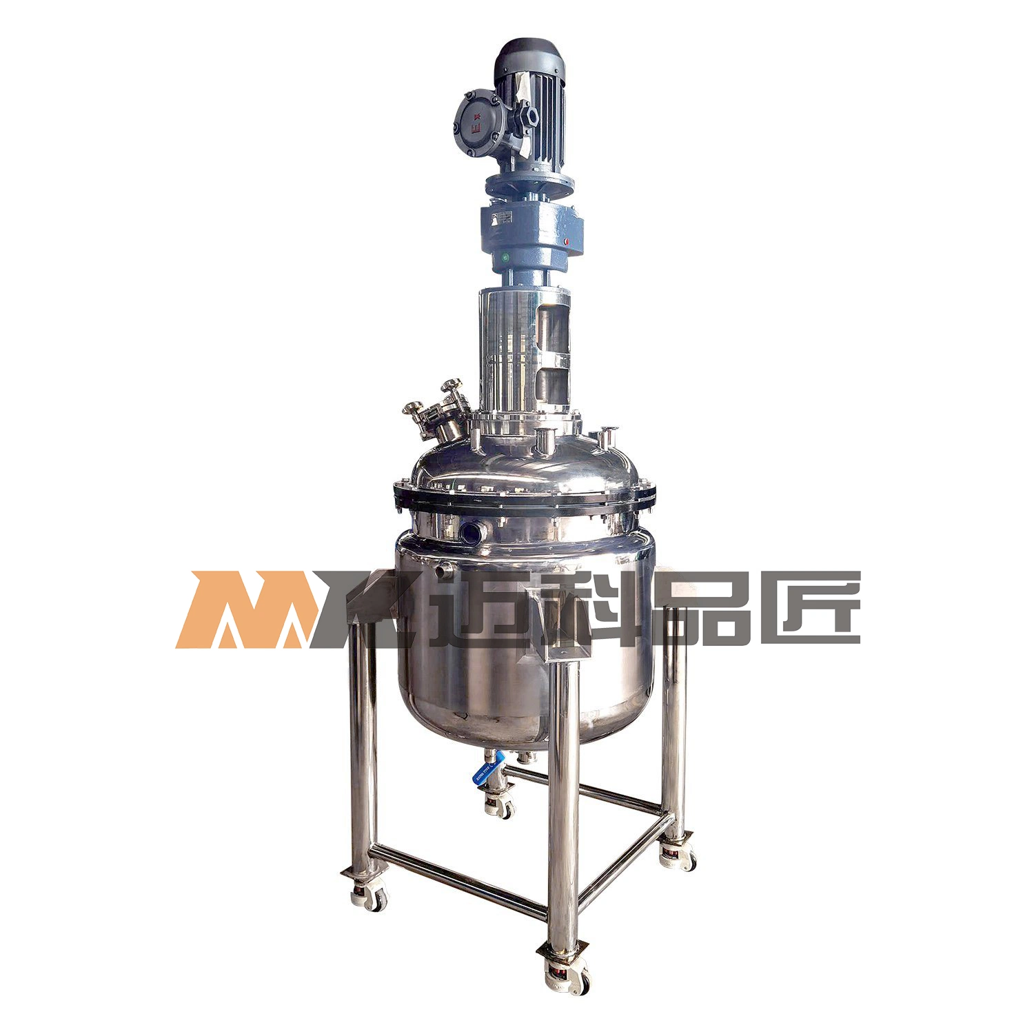 200L Pharmaceutical Bioreactor Full Suspension Culture Stainless Steel Fermentation Tank