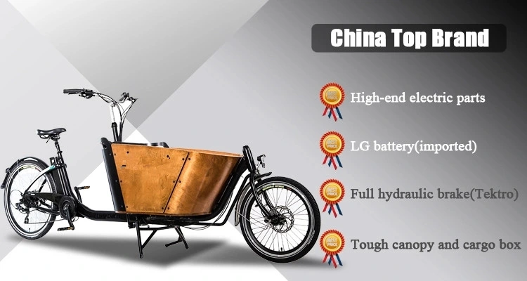 China Made Europe with CE Electric Two Wheel Cargo Bike