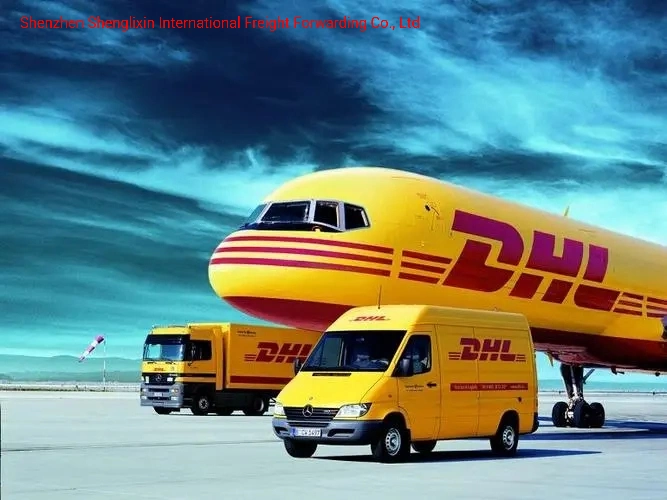 Ultra Bajo DHL Freight, Enviado a Estados Unidos, Canadá, México, Europa, Sudeste Asiático, Emiratos Árabes Unidos, América del Sur y Países Africanos