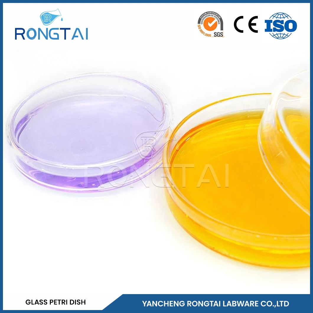 Rongtai Laboratory Petri Dishes Factory Borosilicate Glass Petri Dish 100mmx20mm China Glass Petri Dish with Lid