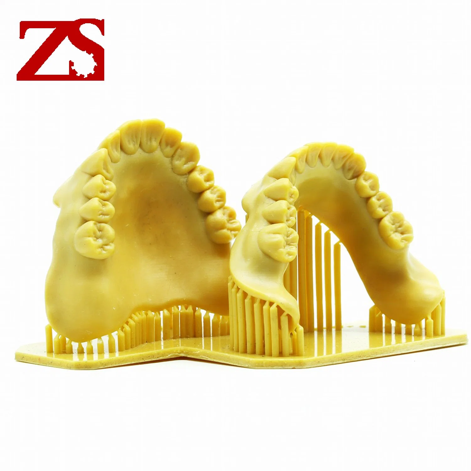 Résine moulée pour imprimante 3D dentaire pour imprimante DLP/LCD/SLA pour Modèle de dents