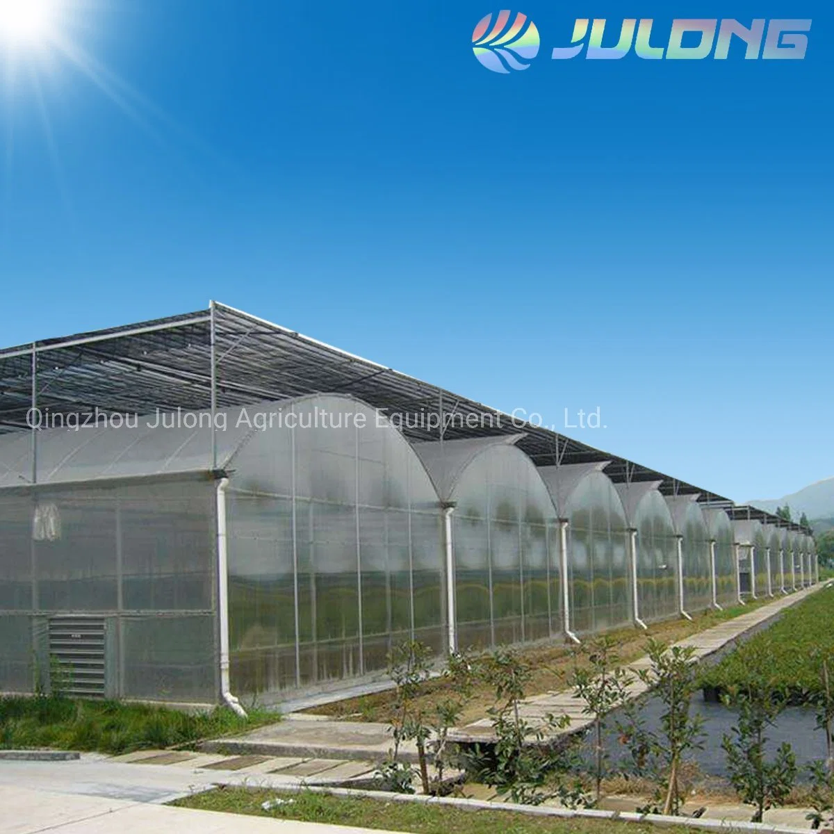 Multi-Span Film Arch Agriculture Greenhouse with Automatic Control System