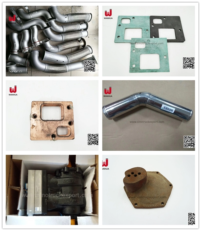 Tuyau d'admission de l'intercooler du chariot HOWO Sinotruk (Wg9725530070)