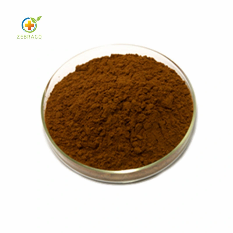 Best Quality Wort Extract Hypericin Low Price From Zerbago