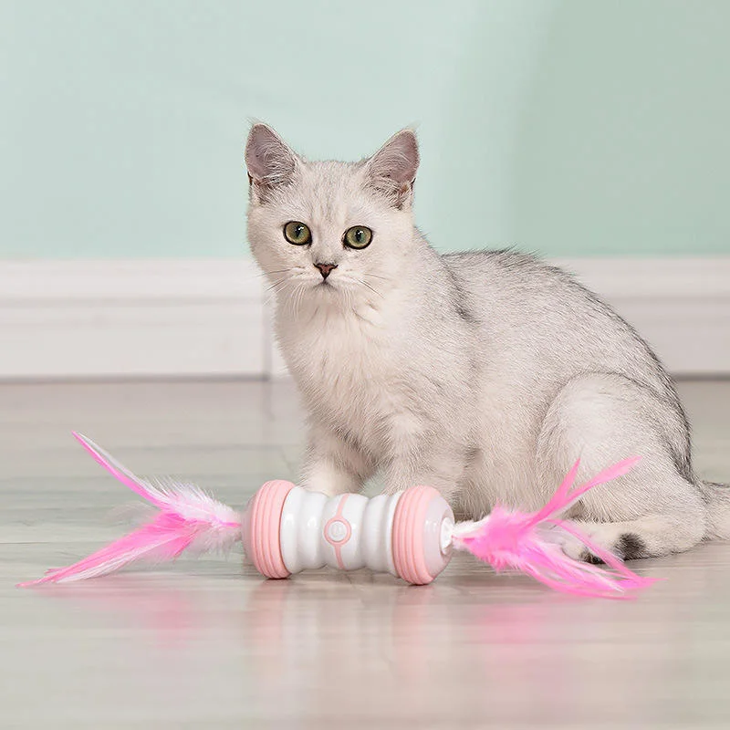 Varita Mágica gracioso gato pelota alquiler de la rotación automática gracioso gato Gadgets nueva mascota Electric Cat Toy