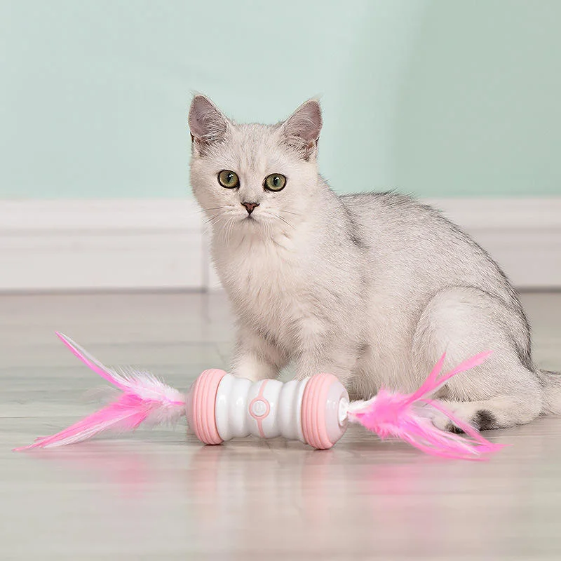 Coup de baguette magique drôle de chat drôle de rotation automatique de voiture à bille Cat Gadgets nouvel animal Cat jouet électrique