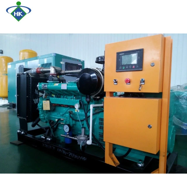 30kw 40kw 50kw 75kw 150kw 500kw Gas Generator Set Natural Gas Generator Biogas Generator