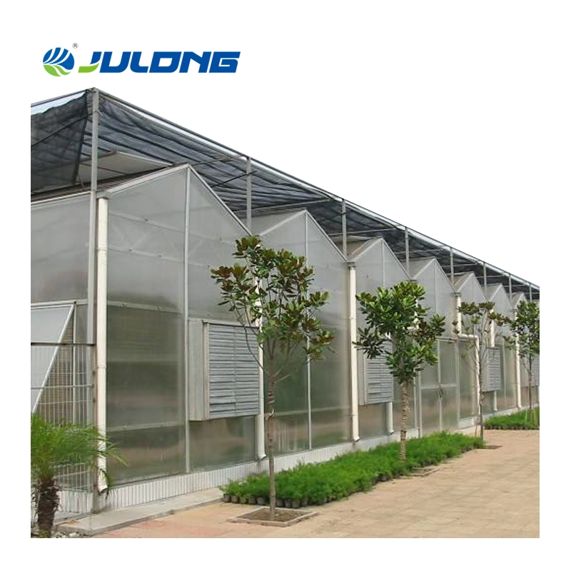 Low Cost Agricultural Commercial Venlo Polycarbonate Sheet Multi-Span Greenhouse with Hydroponic System for Vegetables/Strawberry/Tomato/Flowers