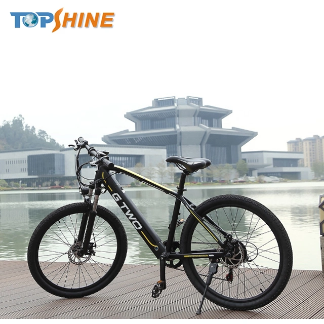 250W 36V 14A Mountain Electric Bicycle with CE En15194 Certificate
