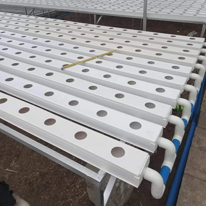 Retangal PVC Material Hydroponic Gutter with Drip Irrigation System Growing Leafy Vegetable in Greenhouse