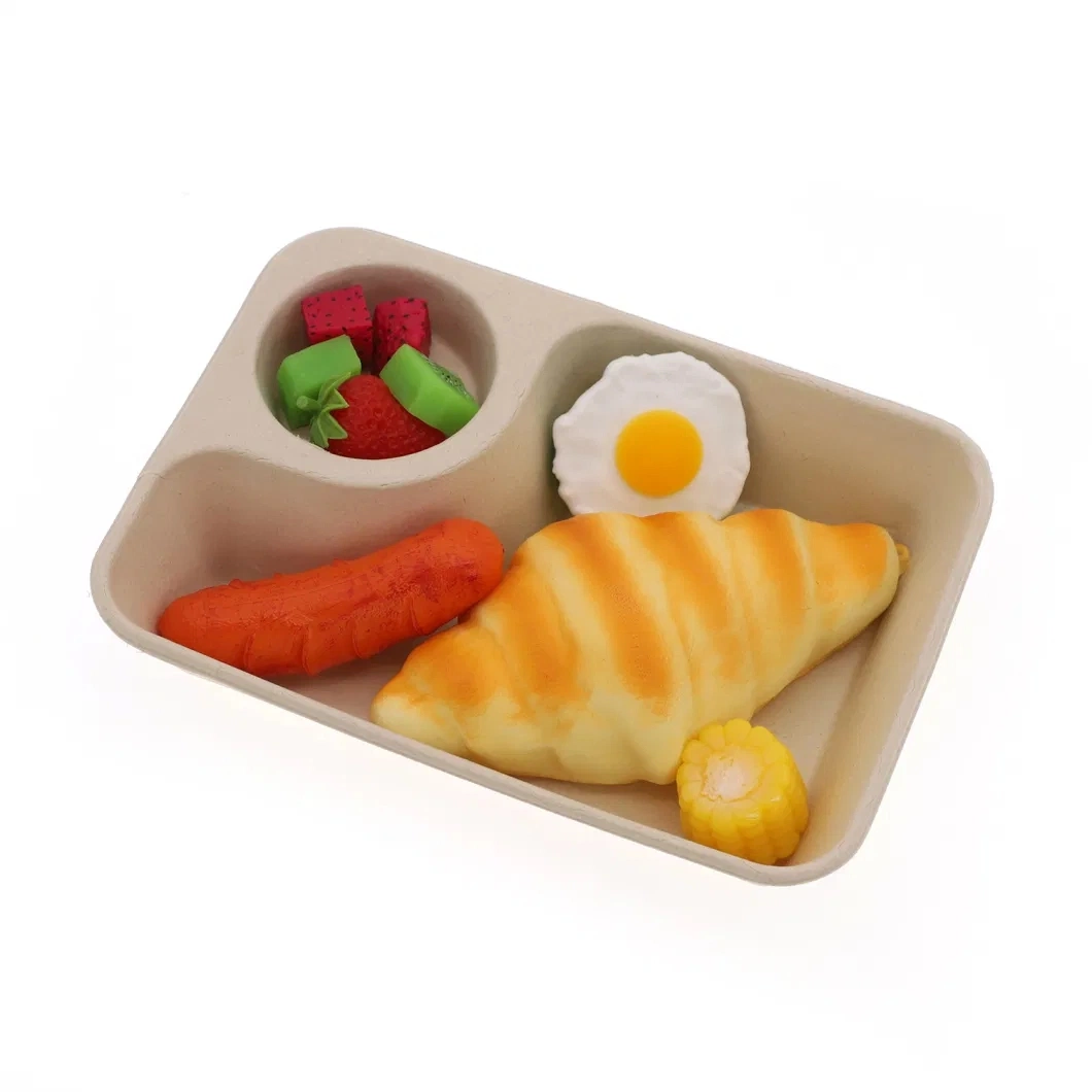 850ml Compostable Disposable Biodegradable Bamboo Pulp Sauce Salad Lunch Box with Lid