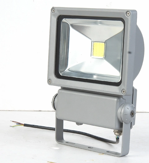 Indoor Flood Light Bulbs Cheap White LED Floodlight (SLFD17 70W-COB)