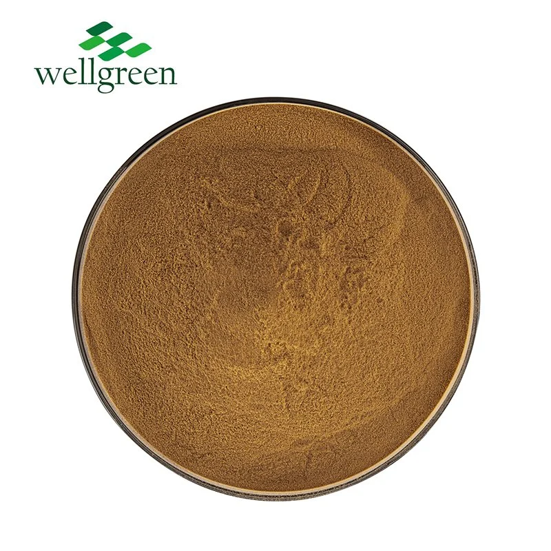 Wellgreen Natural Water Soluble Food Grade Organic Mint Spearmint Peppermint Extract Powder