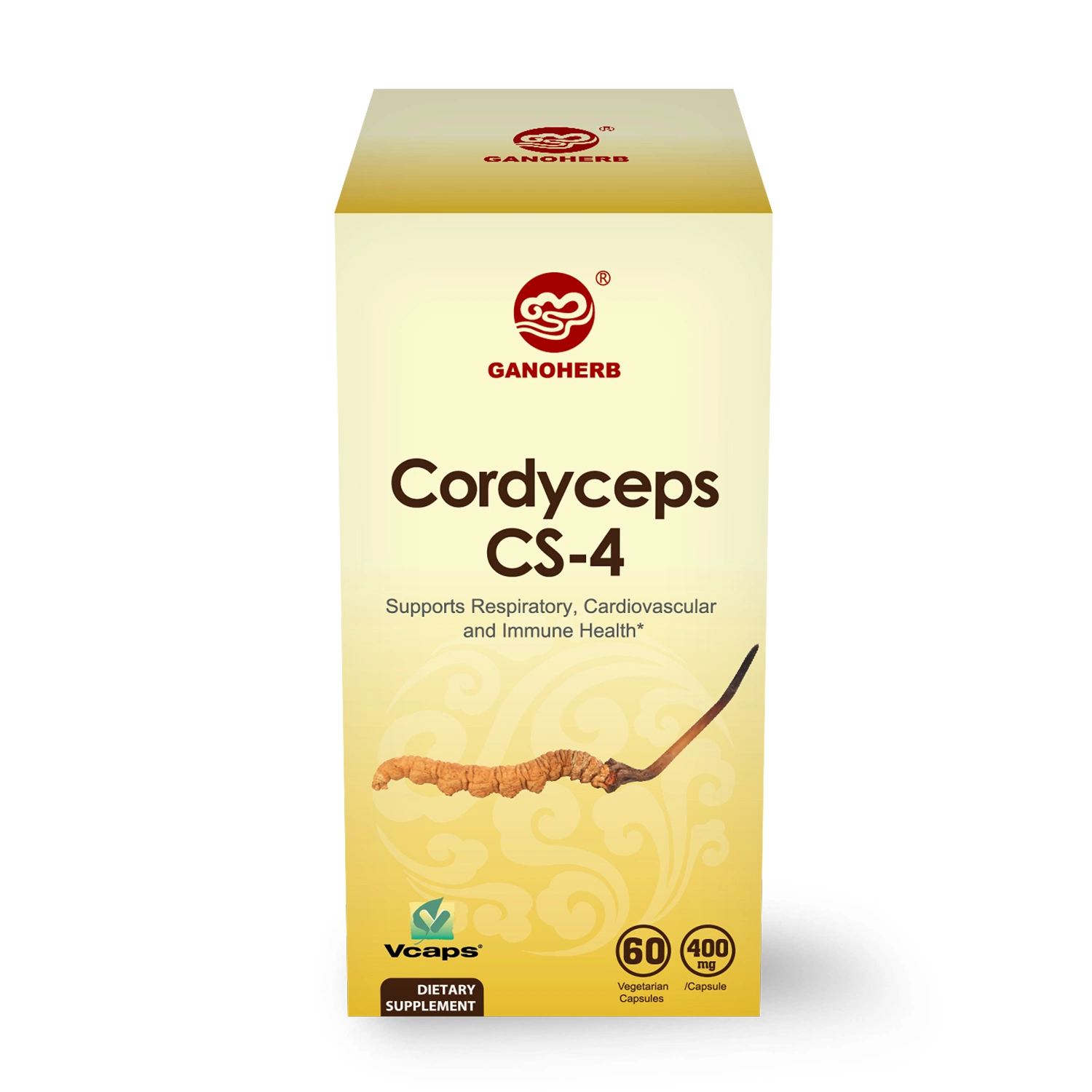 OEM Cordyceps Sinensis Immune Booster Cordyceps Capsule for Immune Health